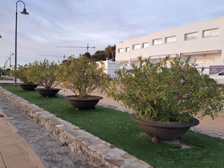 casa la viña en Conil